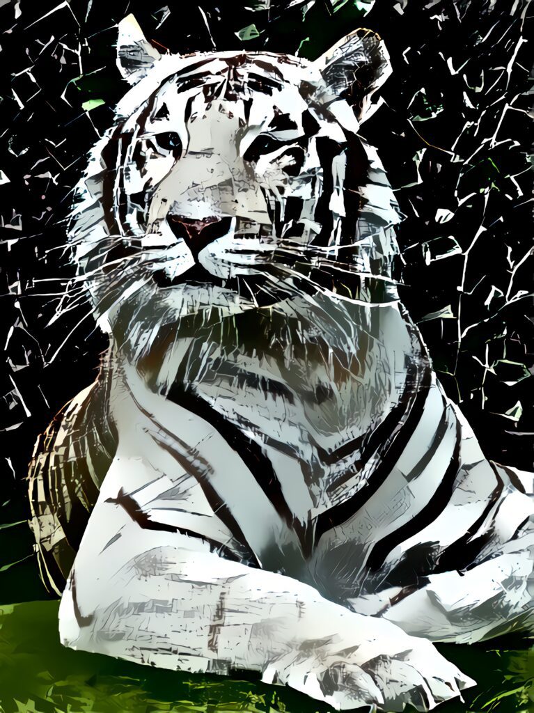 neural style transfer