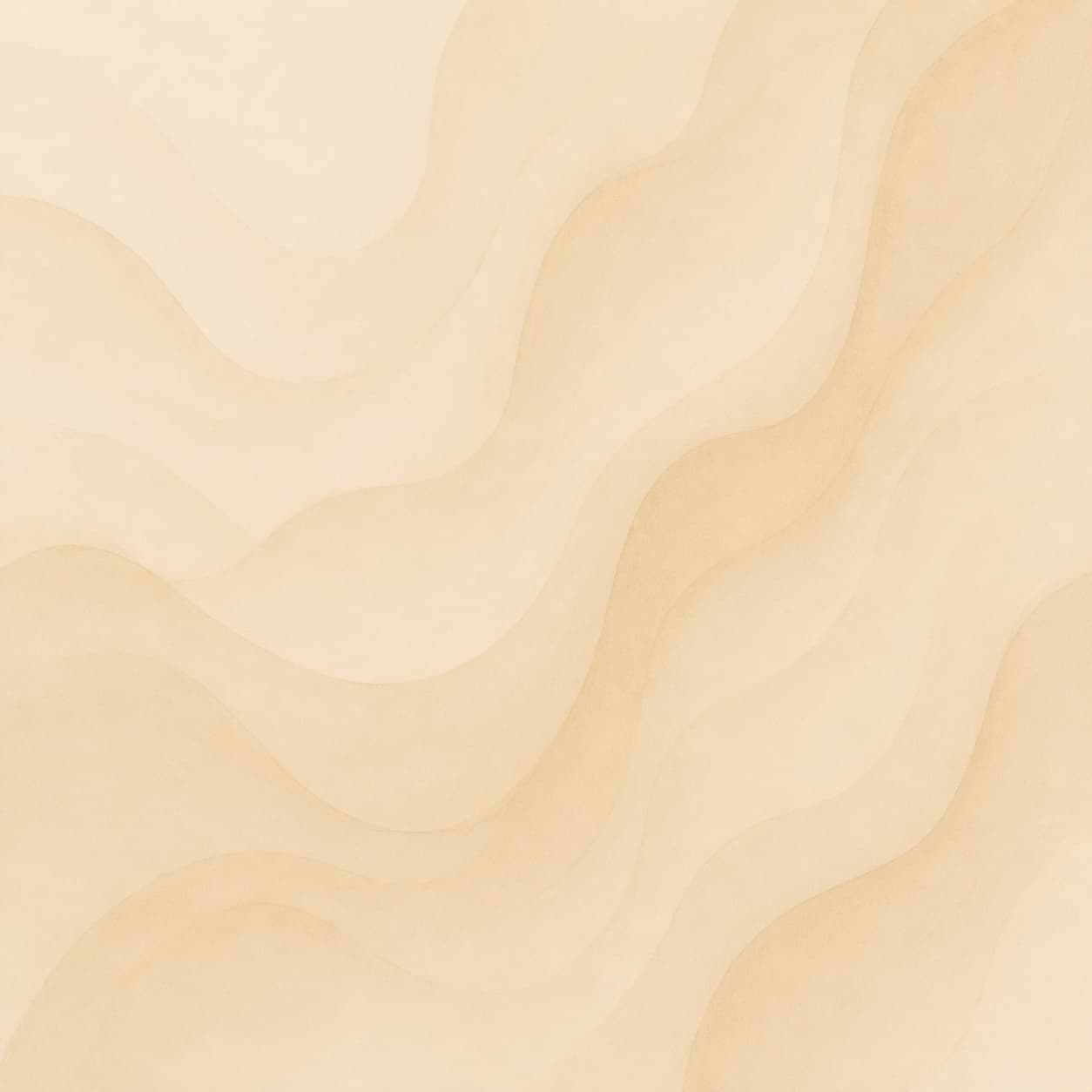 eve designs
